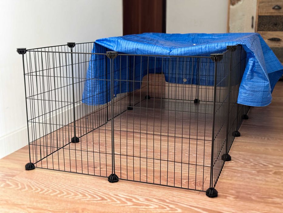 Klatka Metalowa Dla Królika Do Mieszkania z Wytrzymałą Folią Na Góre