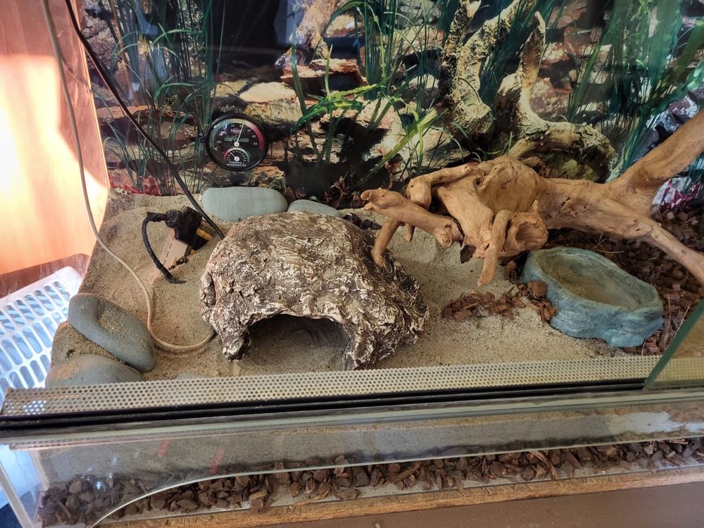 Terrarium z wyposażeniem