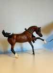 Breyer wycofany Empres ogier arabski model