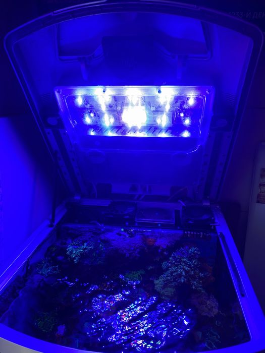 Продам морской аквариум Boyu TL-450