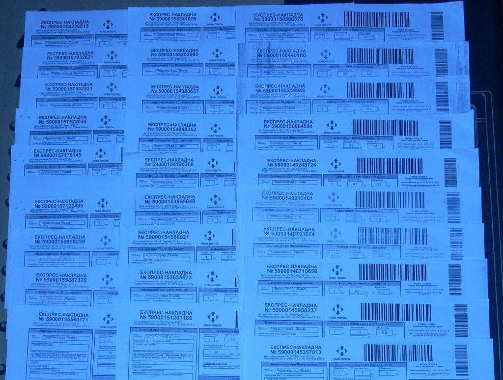 Історія України, Незалежність, УПА, Голодомор, Козаки, Гетьмани тощо.