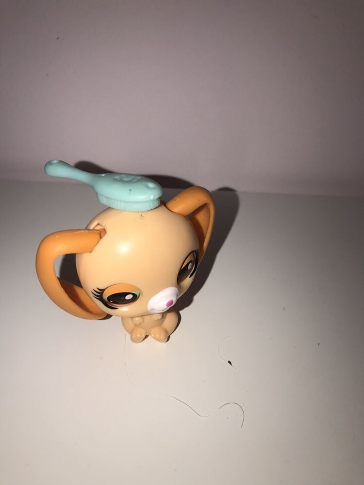 Króliczek Littlest Pet Shop