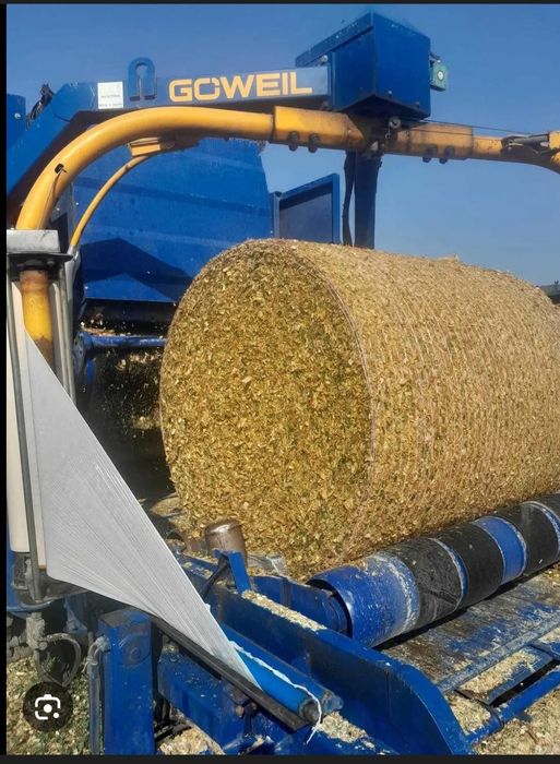 Kiszonka z kukurydzy w balotach