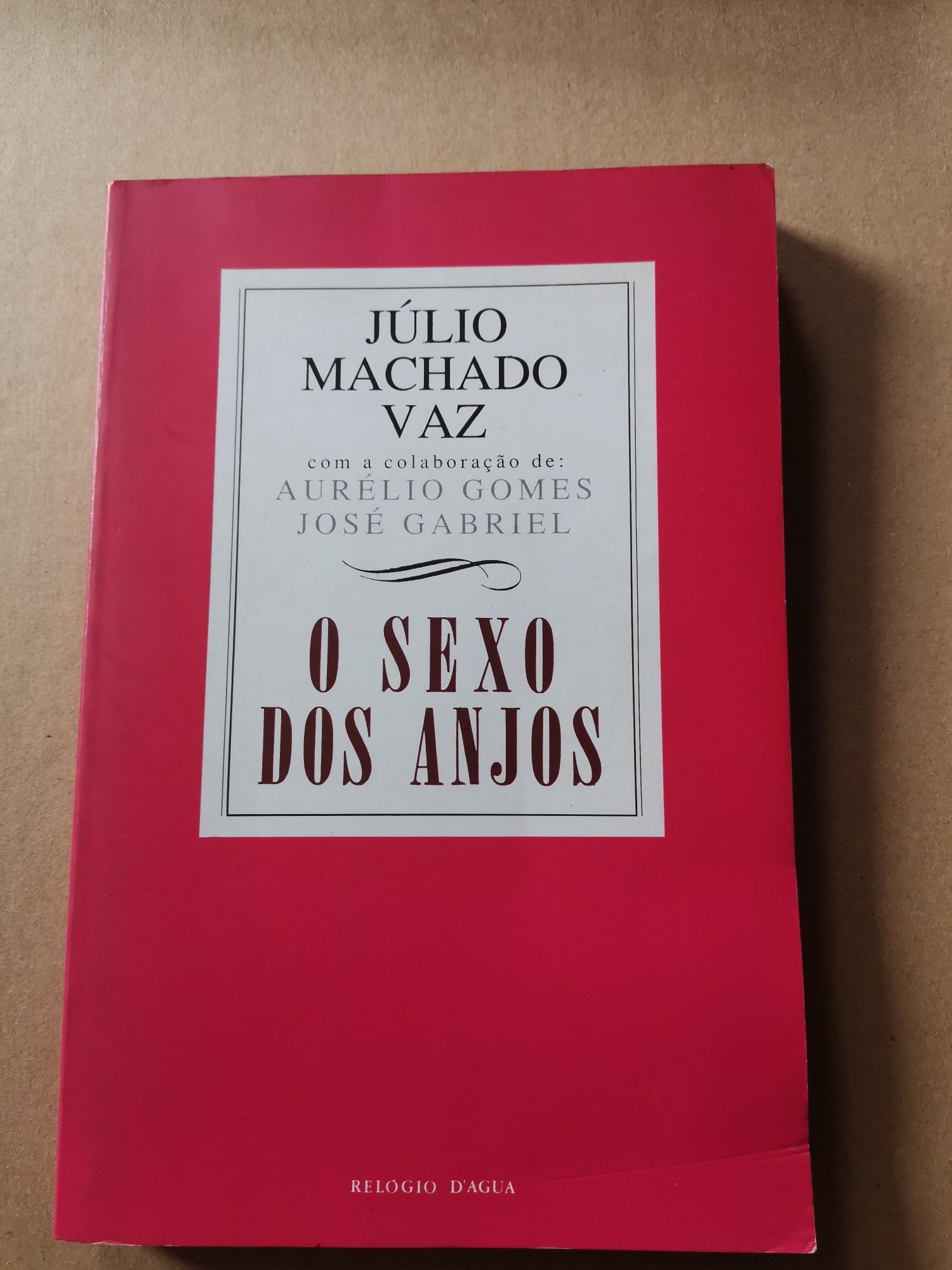 O sexo dos anjos de Júlio Machado Vaz