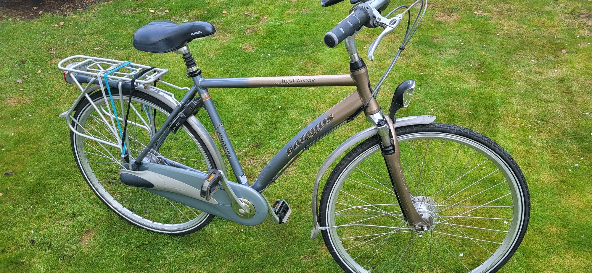 Rower Batavus Holenderka