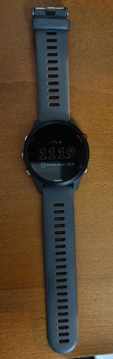 Garmin forerunner 255