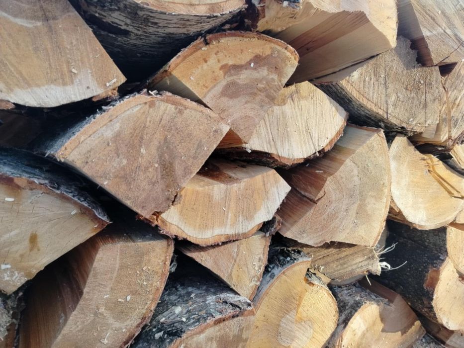 Drewno kominkowe/opałowe