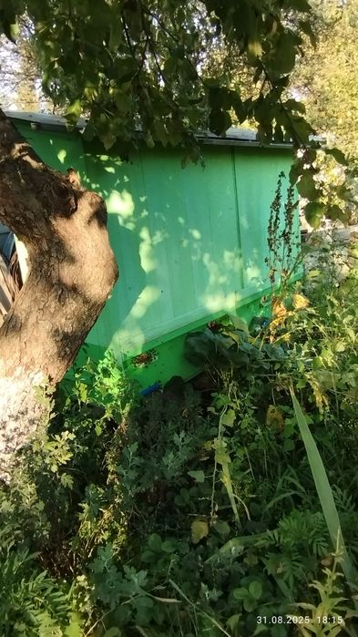 Апі будиночок на три сім'ї