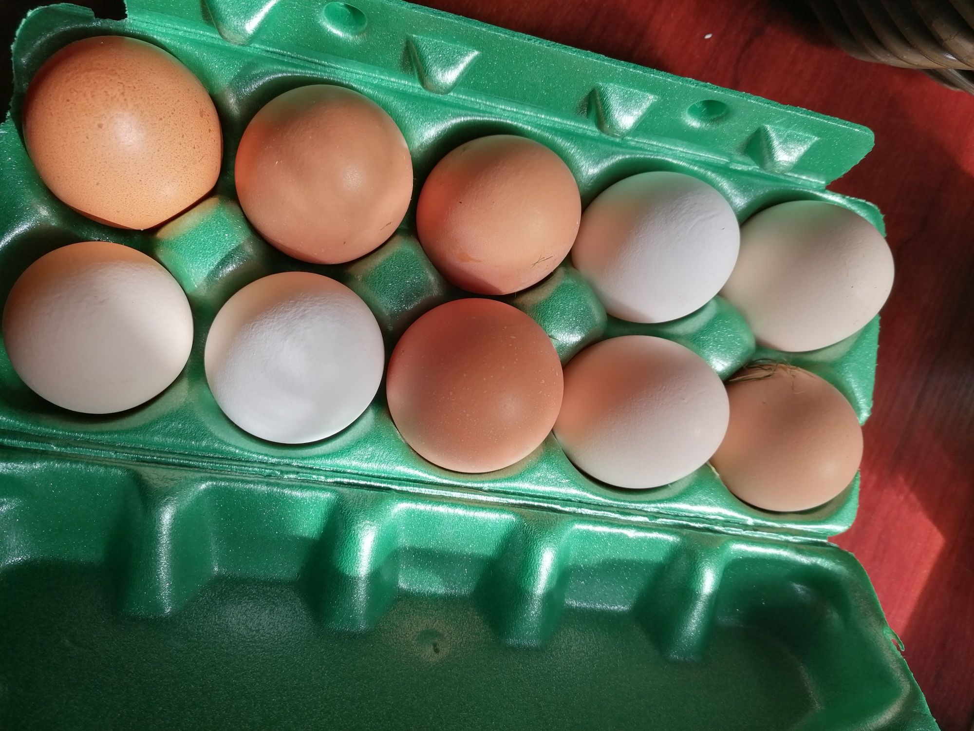 Jajka lęgowe od kurek ras mieszanych