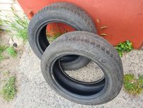 Barum polaris 3 4×4 2 штуки