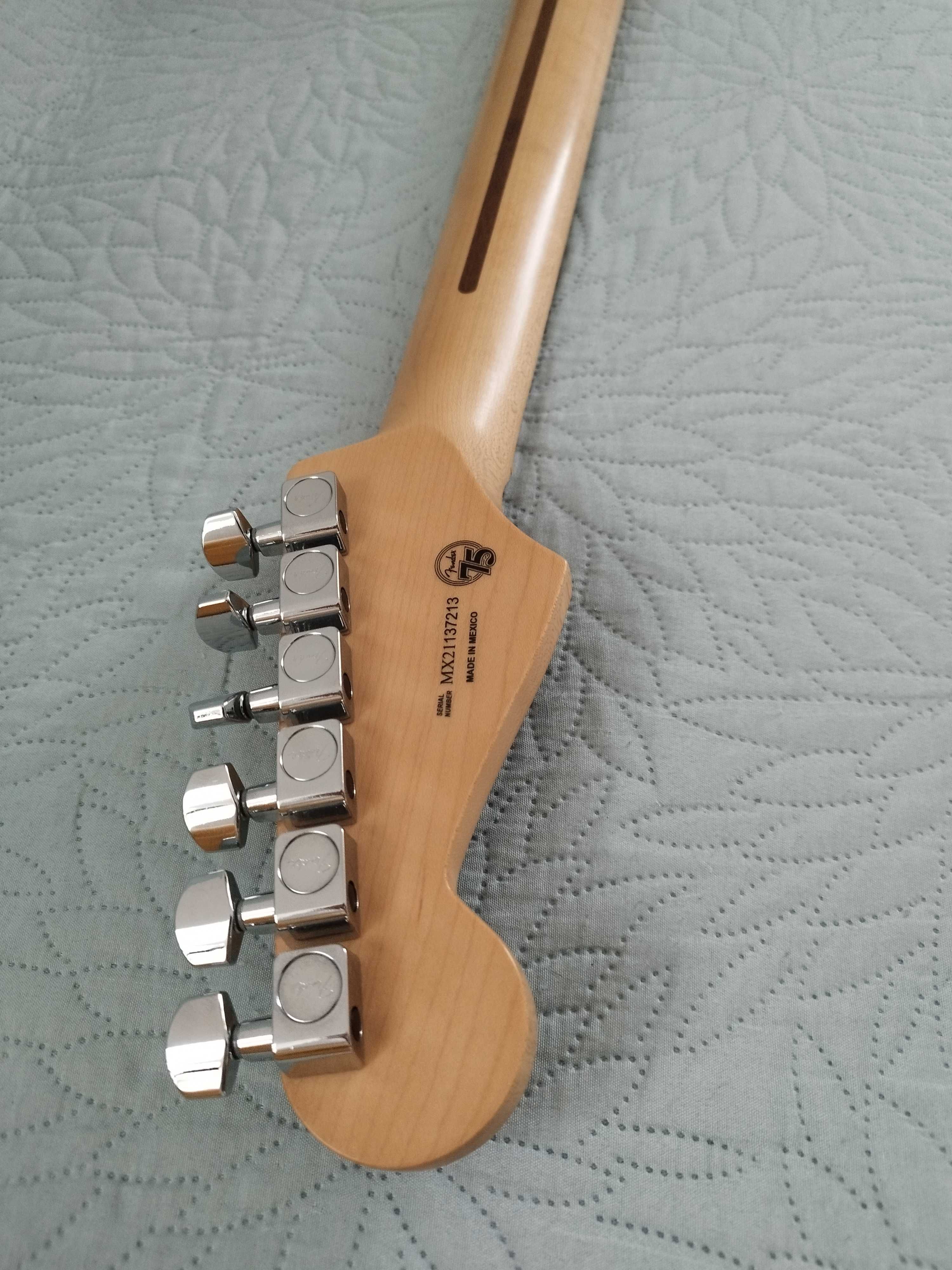 Fender stratocaster player