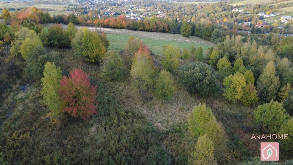 Zainwestuj w Ziemię! 1,28 ha Spokoju w Rozdzielu, gm. Lipinki