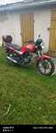Motorower YANKEE 50