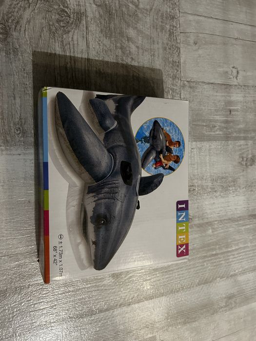 Rekin do pływania Nowy