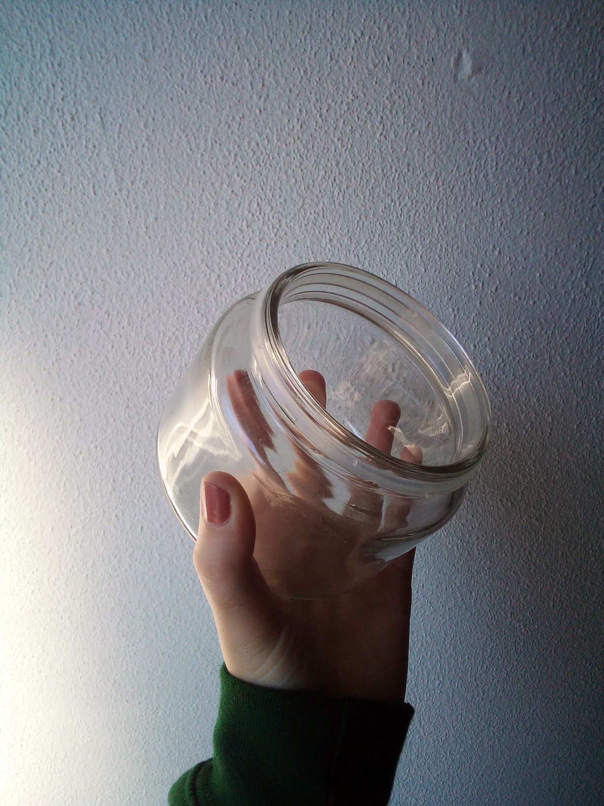 Frasco de vidro com tampa (terrarium)
