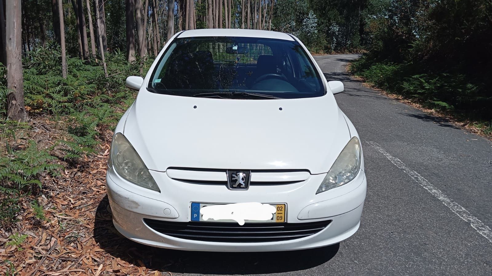 Peugeot 307, 1.4 HDi comercial