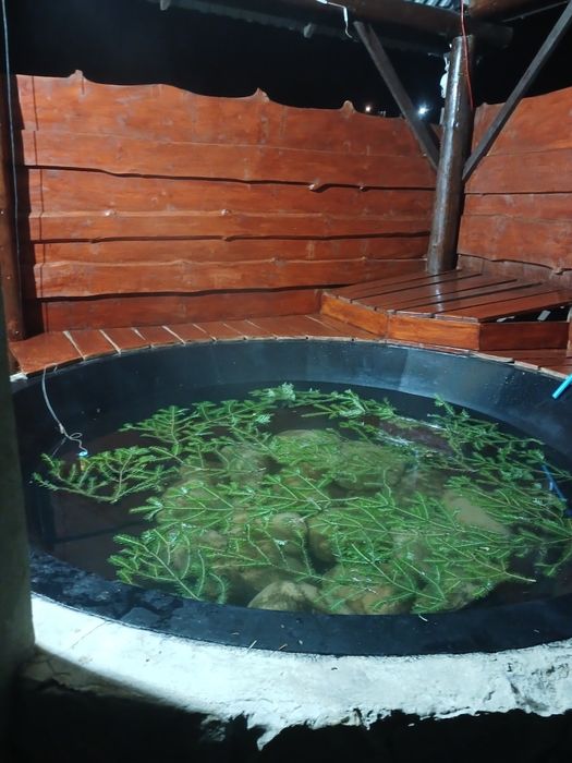 Здається котедж в карпатах біля гк Плай