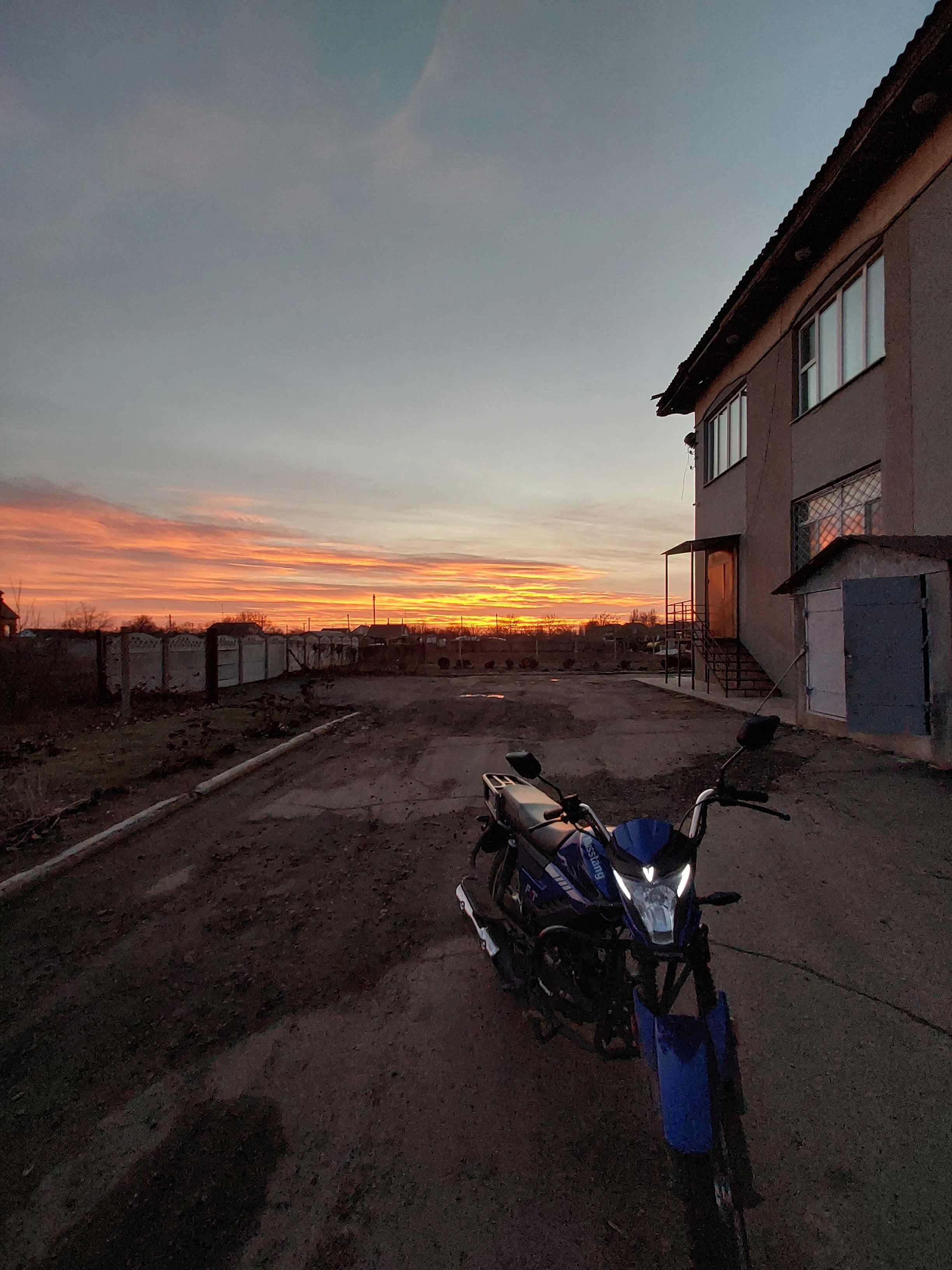 Альфа Мустанг фит 125