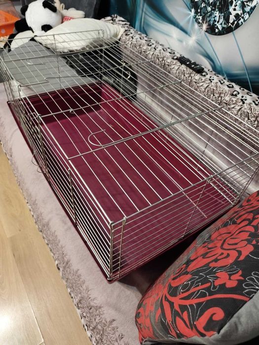 Duża klatka dla większego gryzonia szynszyli królika 100 cm x 55 cm