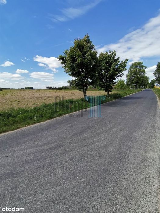 Promocja Majowa -Działka Kozielec gmina Dobrcz