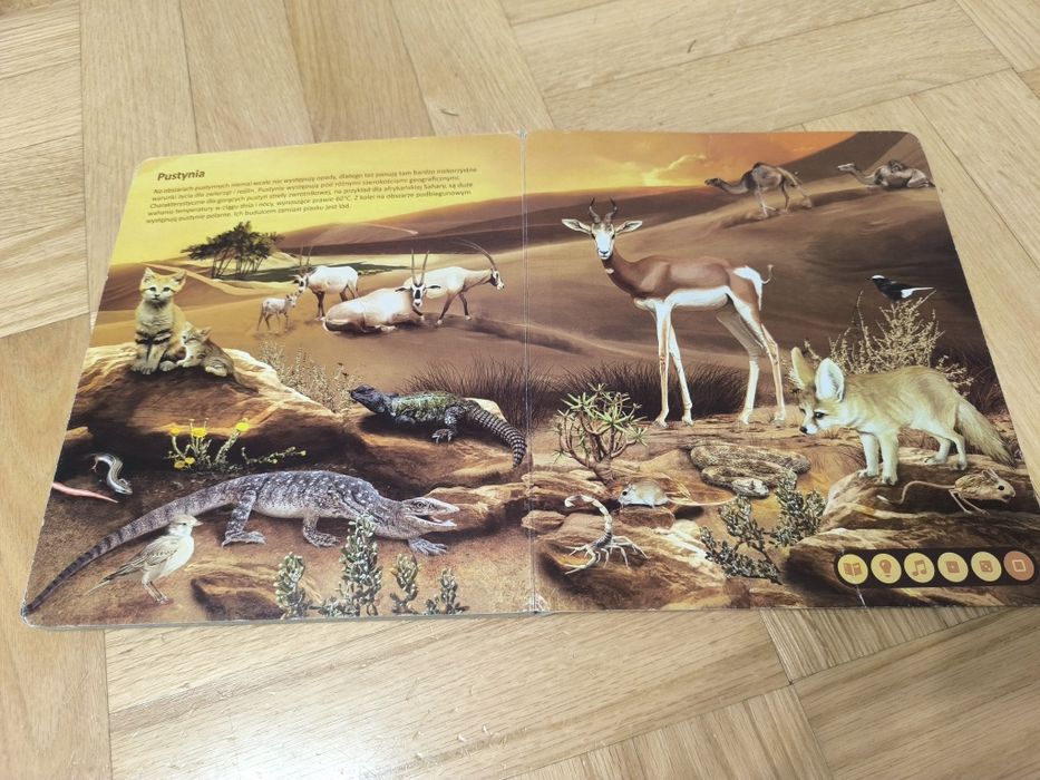 Albik Świat zwierząt