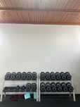 Conjunto de Halteres + discos Tecnhogym