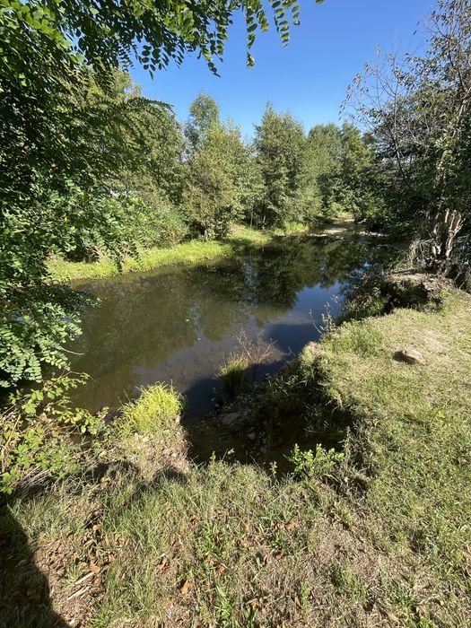 Земельна ділянка