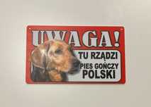 Zawieszka tabliczka: uwaga! tu rządzi pies gończy polski