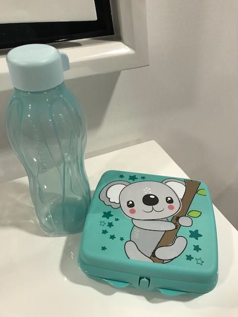 Caixa Sanduicheira Koala + Garrafa 500ml Tupperware