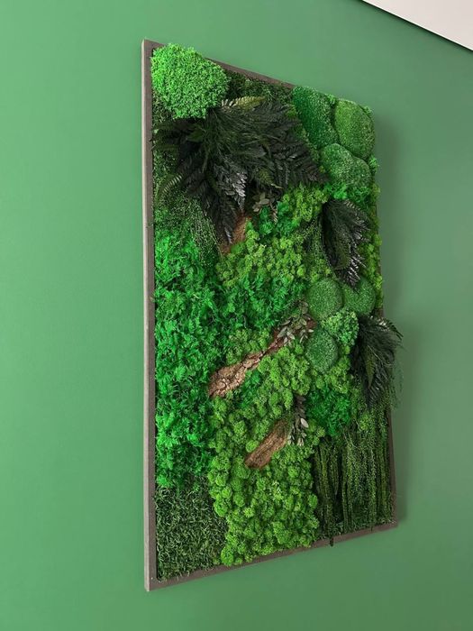 Картина с Мхом. Стабілізований Мох Картина