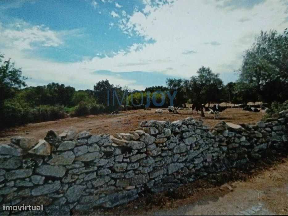Terreno Rústico para Venda Ade, Guarda