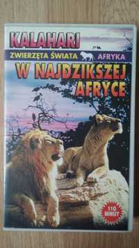 W najdzikszej Afryce VHS