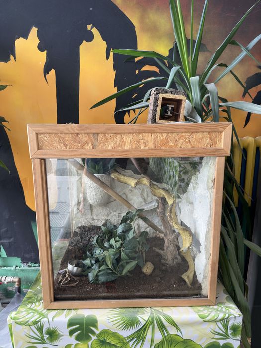 Terrarium 63x53x65 cm