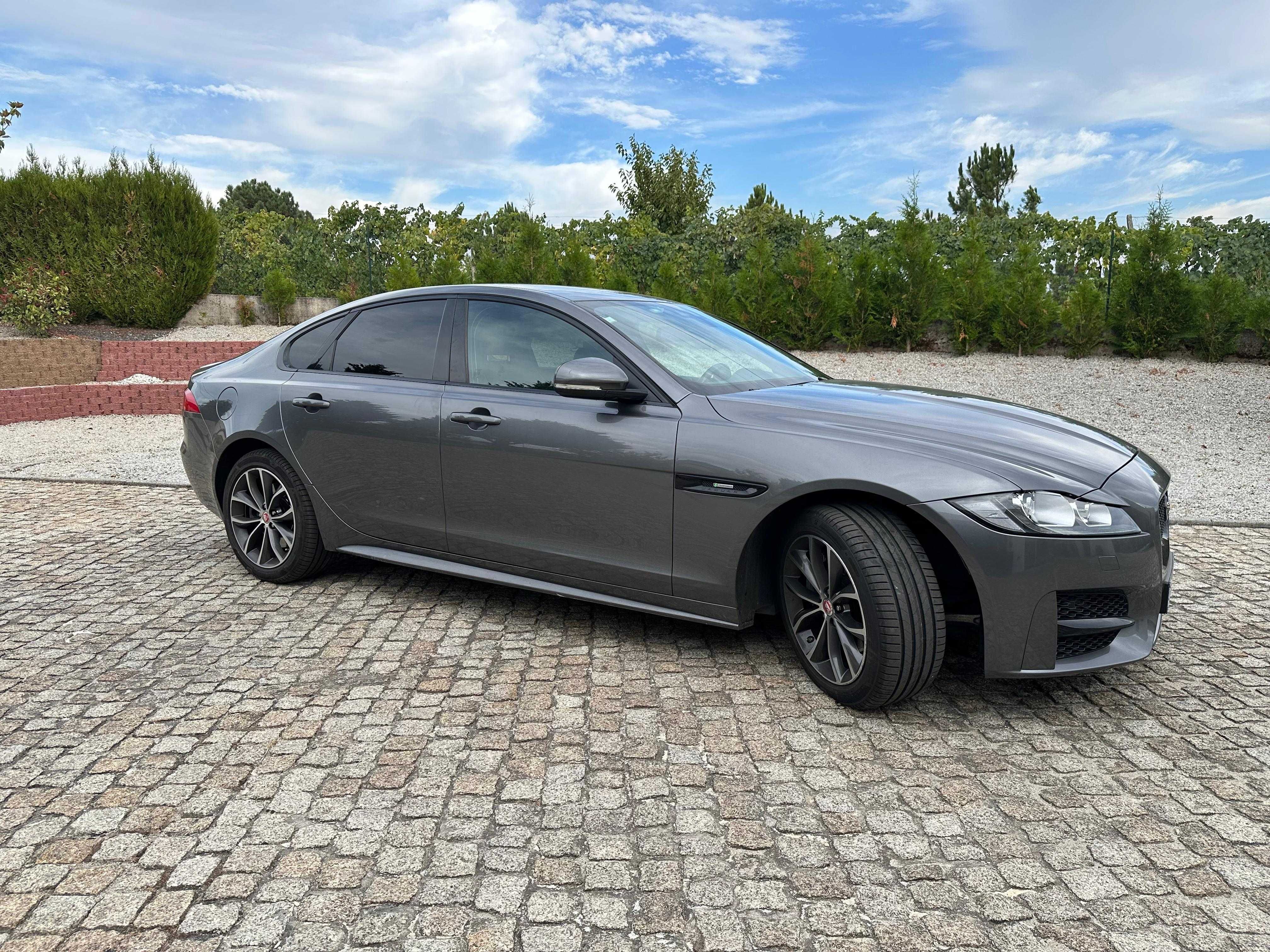 jaguar Xf (x260) R-Sport
