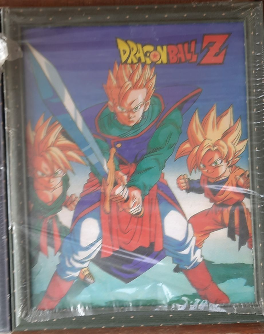 Quadros do Dragon Ball Z