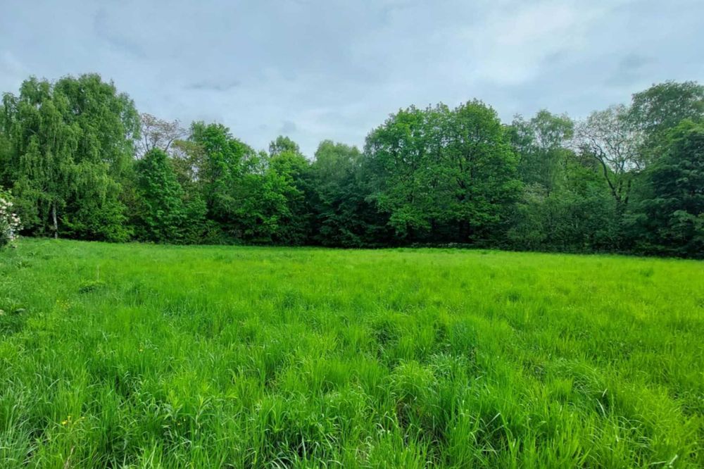 Działka budowlana w Pogorzycach, 25 arów