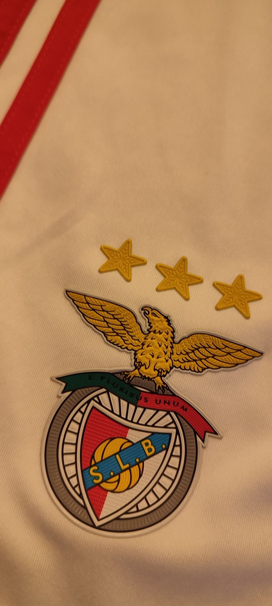 Calções do Sport Lisboa e Benfica da Adidas
