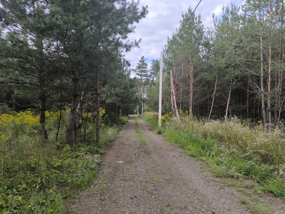 ЖОРНІВКА!Продаж цікавої ділянки 10 соток в оточенні Хвойного Лісу!