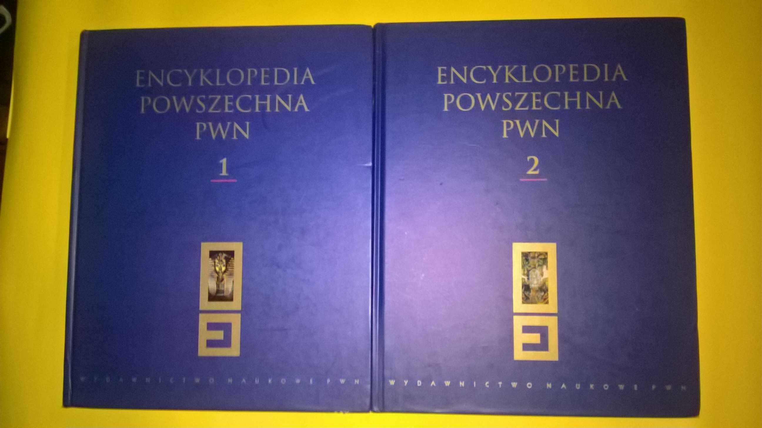 Encyklopedia powszechna pwn. Tom 1 i 2 Praca zbiorowa-dwie książki