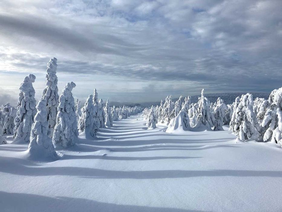Święta / Sylwester / Wiejski dom w Górach Izerskich / Gierczynówka