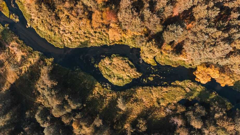 Domek letniskowy nad rzeką Liswartą 6 OSÓB w koronach drzew