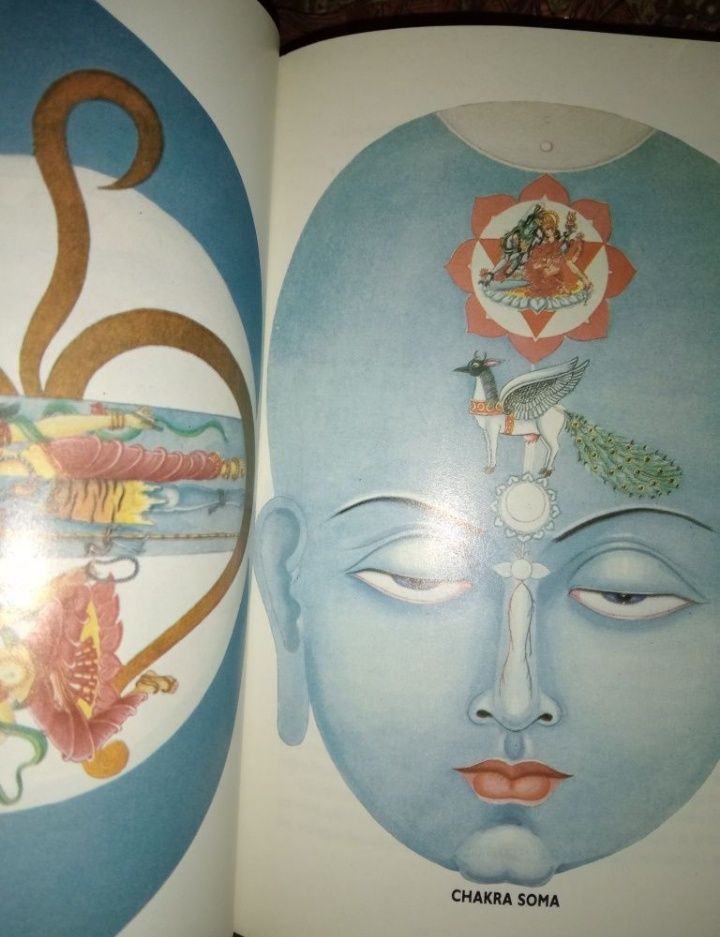Chakras Manual prático