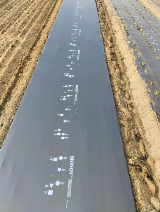 Folia biodegradowalna