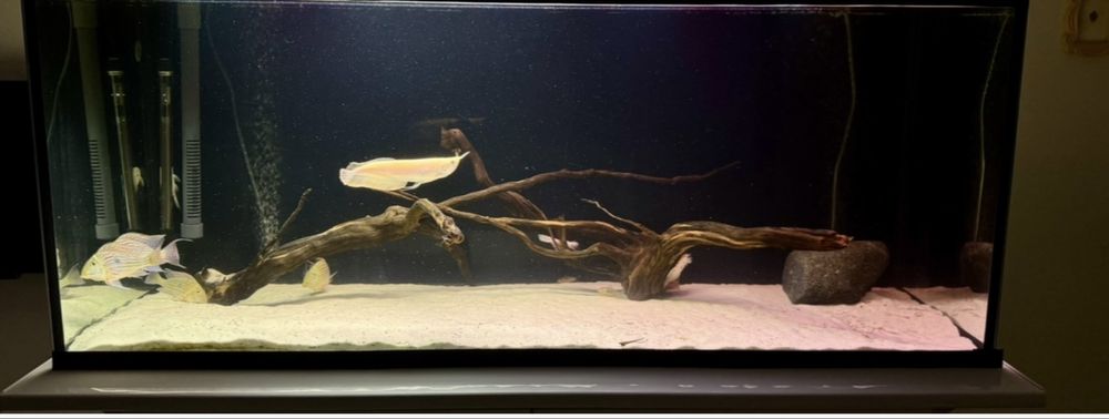 Akwarium 450l z filtrem narurowym caly zestaw.