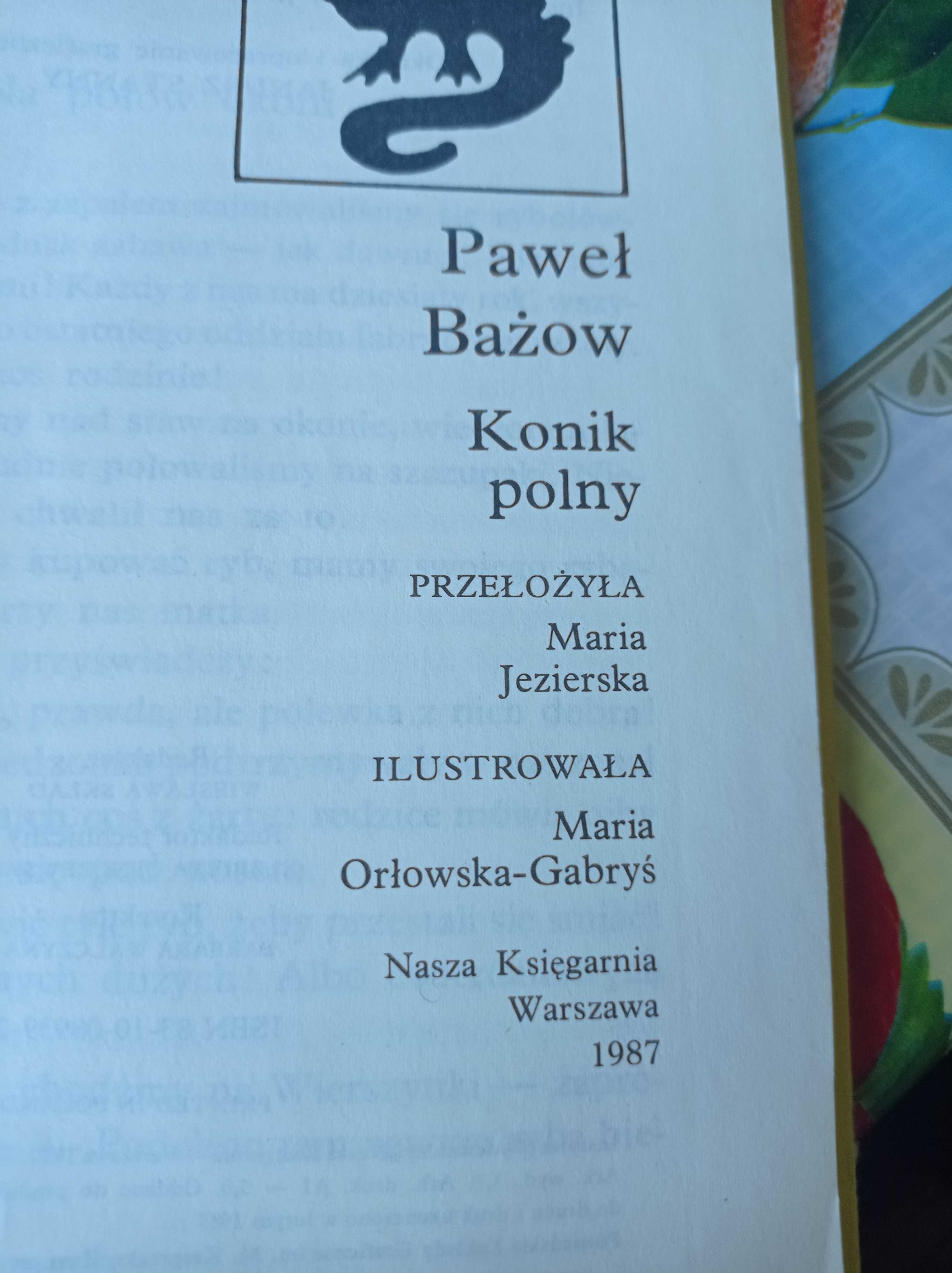 Konik polny Paweł Bażow