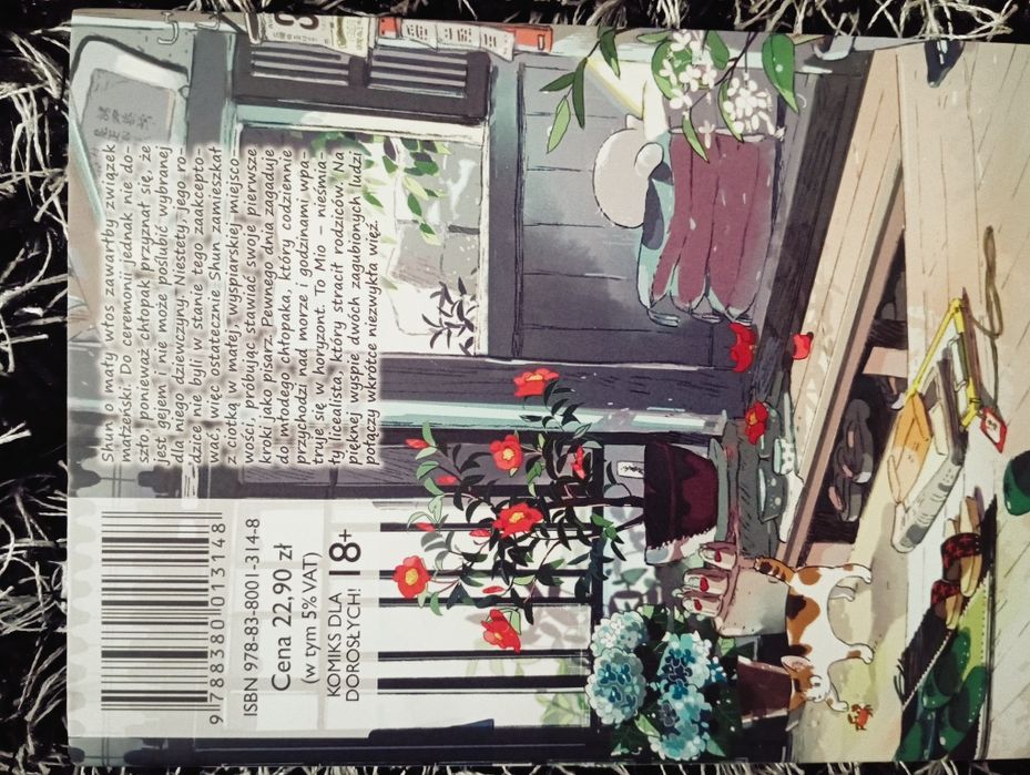 Manga Nieznajomy na plaży