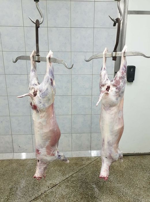 Baranina,jagnięcina,  wysyłka