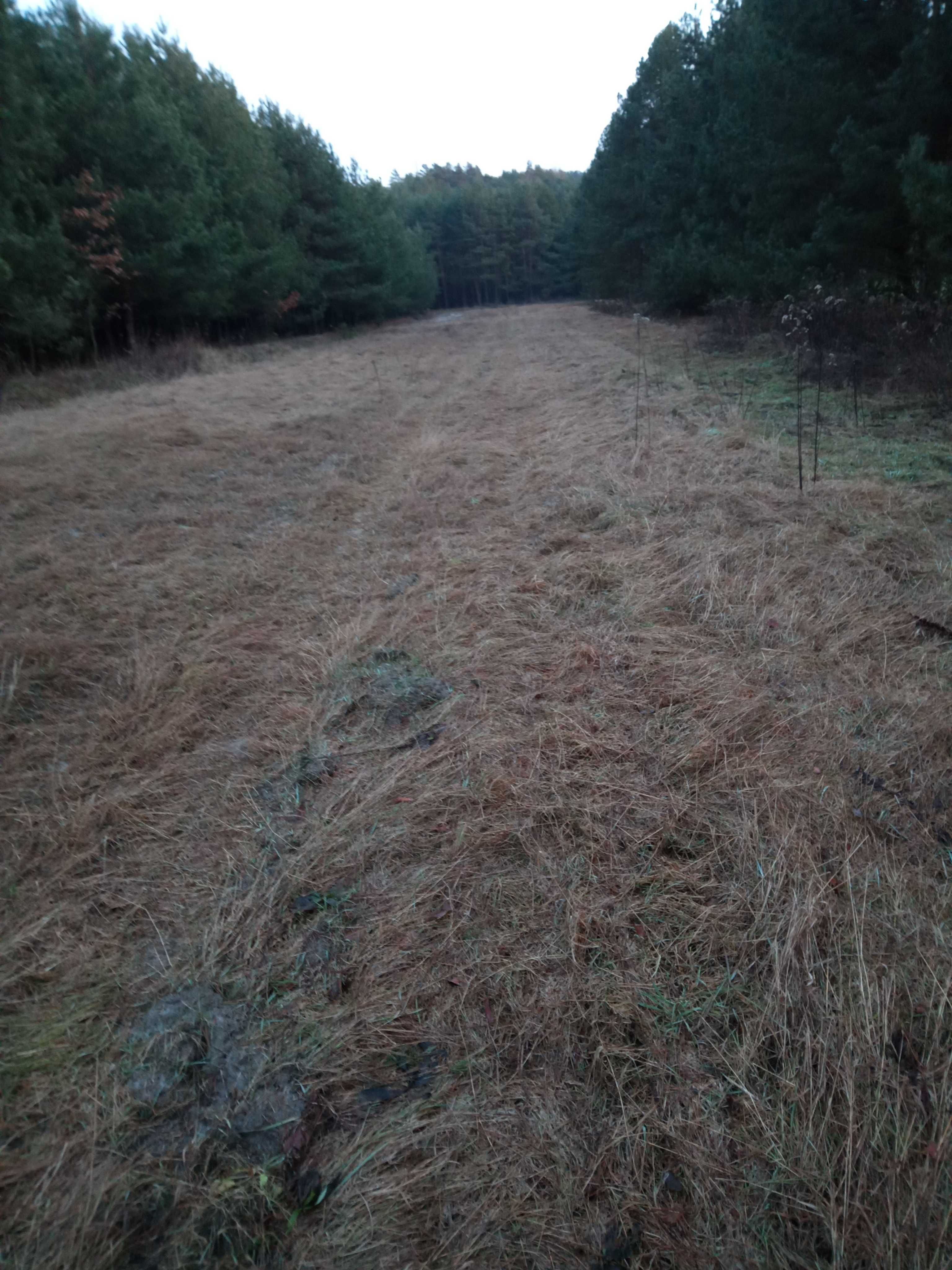 sprzedam działkę rekreacyjną 6086 m2, 4 km od Zwierzyńca, 6 zł/m2