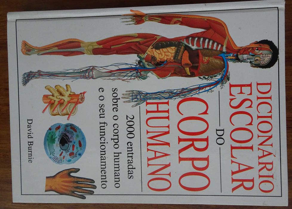 Dicionário Escolar do Corpo Humano