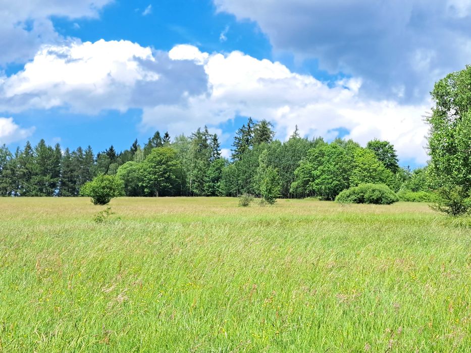 widokowa uzbrojona działka budowlana w Górach Sowich